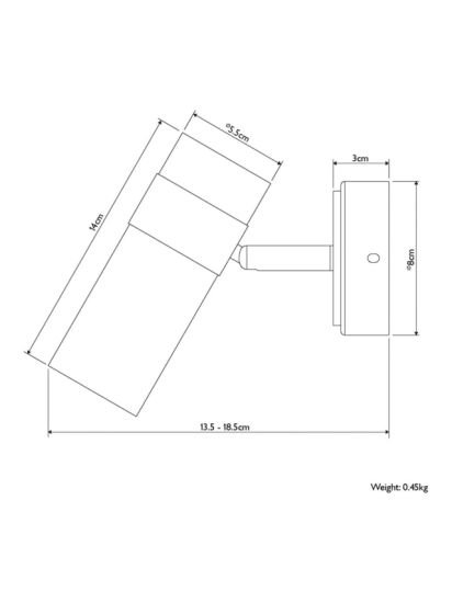 Single Spotlight Wall Light, Matte Nickle/Gold